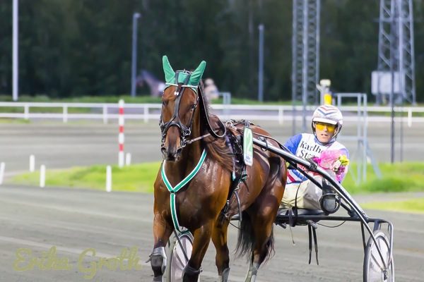 Uppvärmning inför loppet.